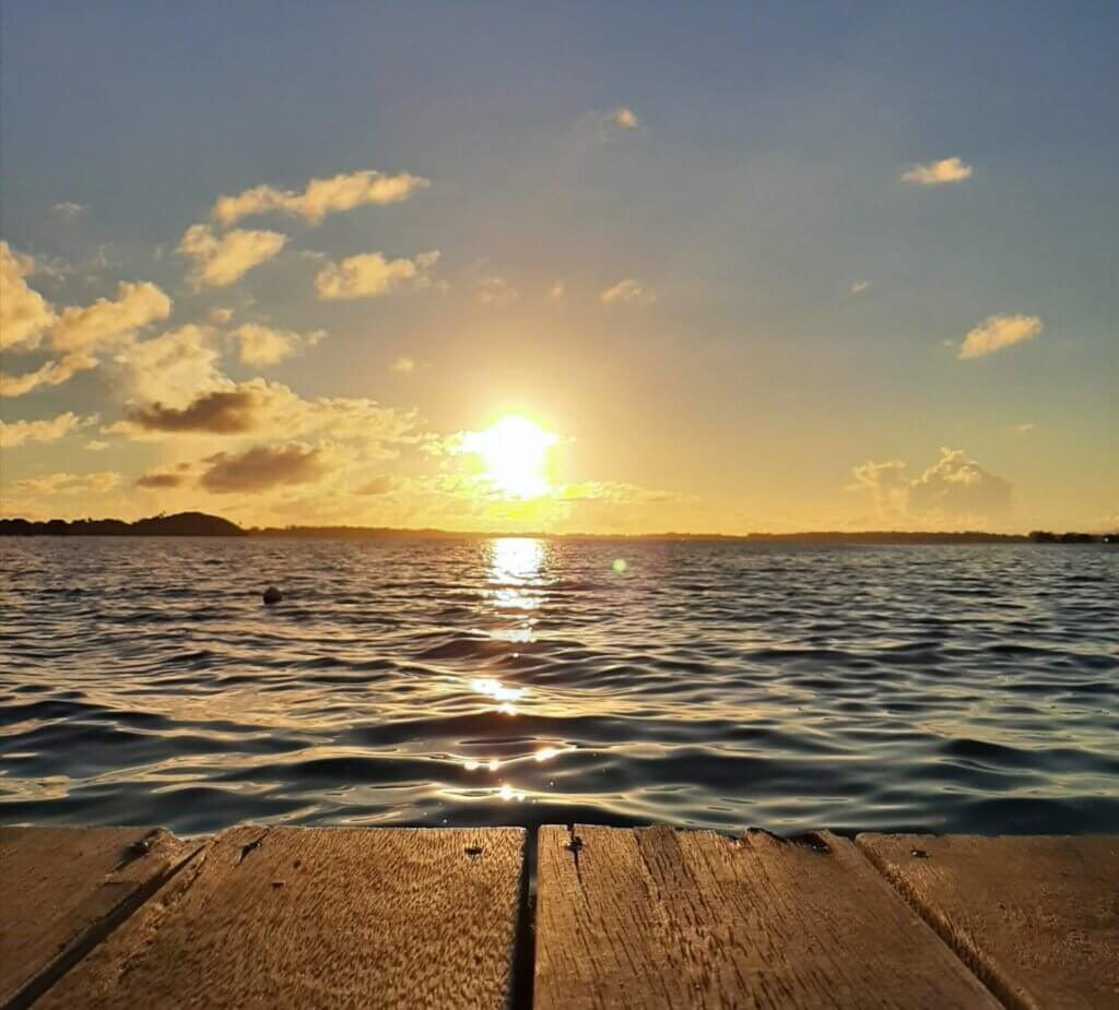 Siempre vuelve a salir el sol